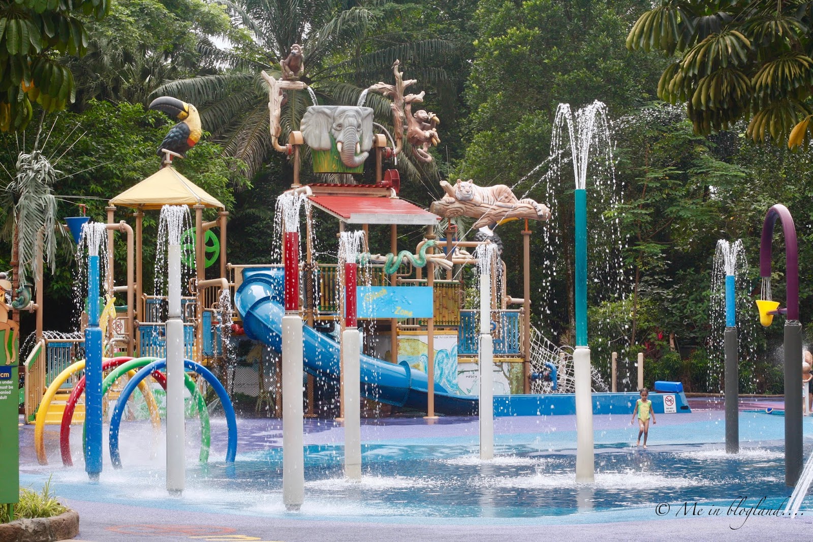 Rainforest Kidzworld.jpg